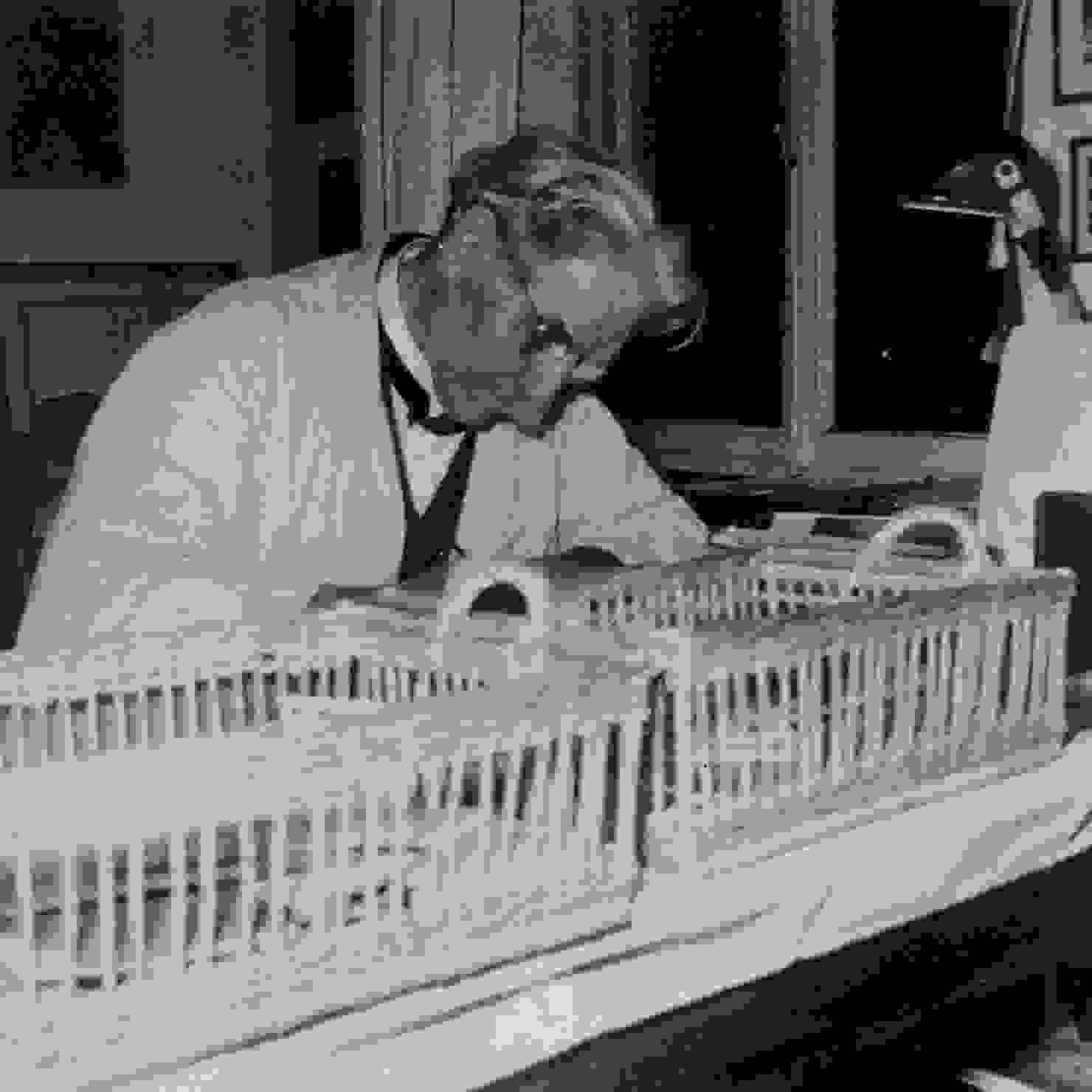 Albert Schweitzer