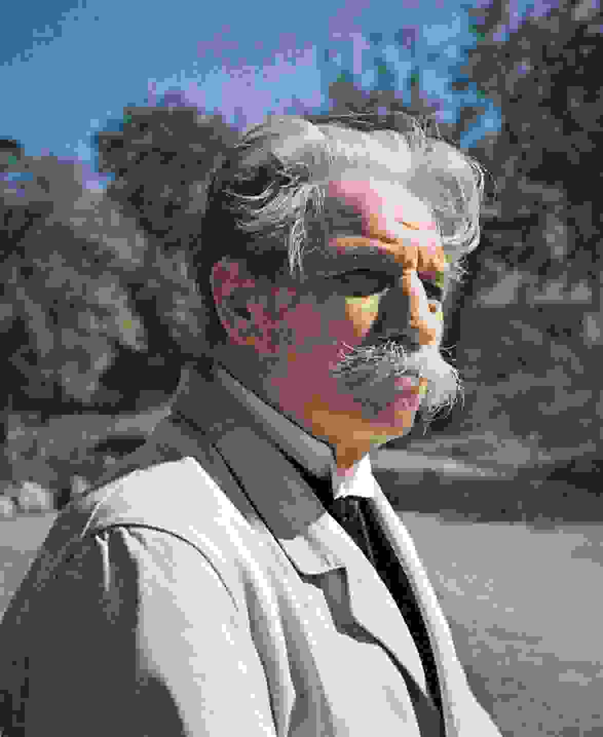 Albert Schweitzer 