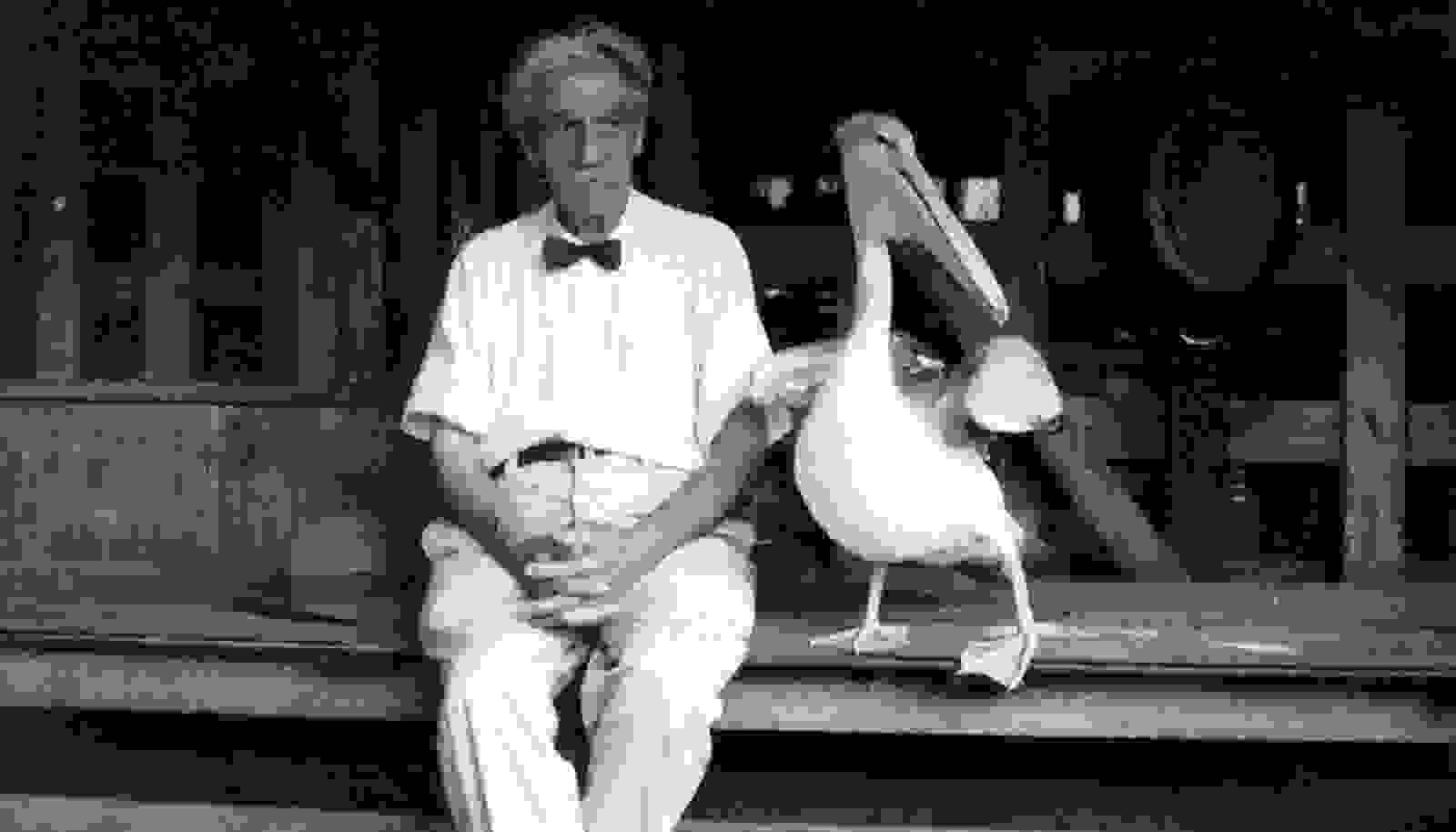 Albert Schweitzer