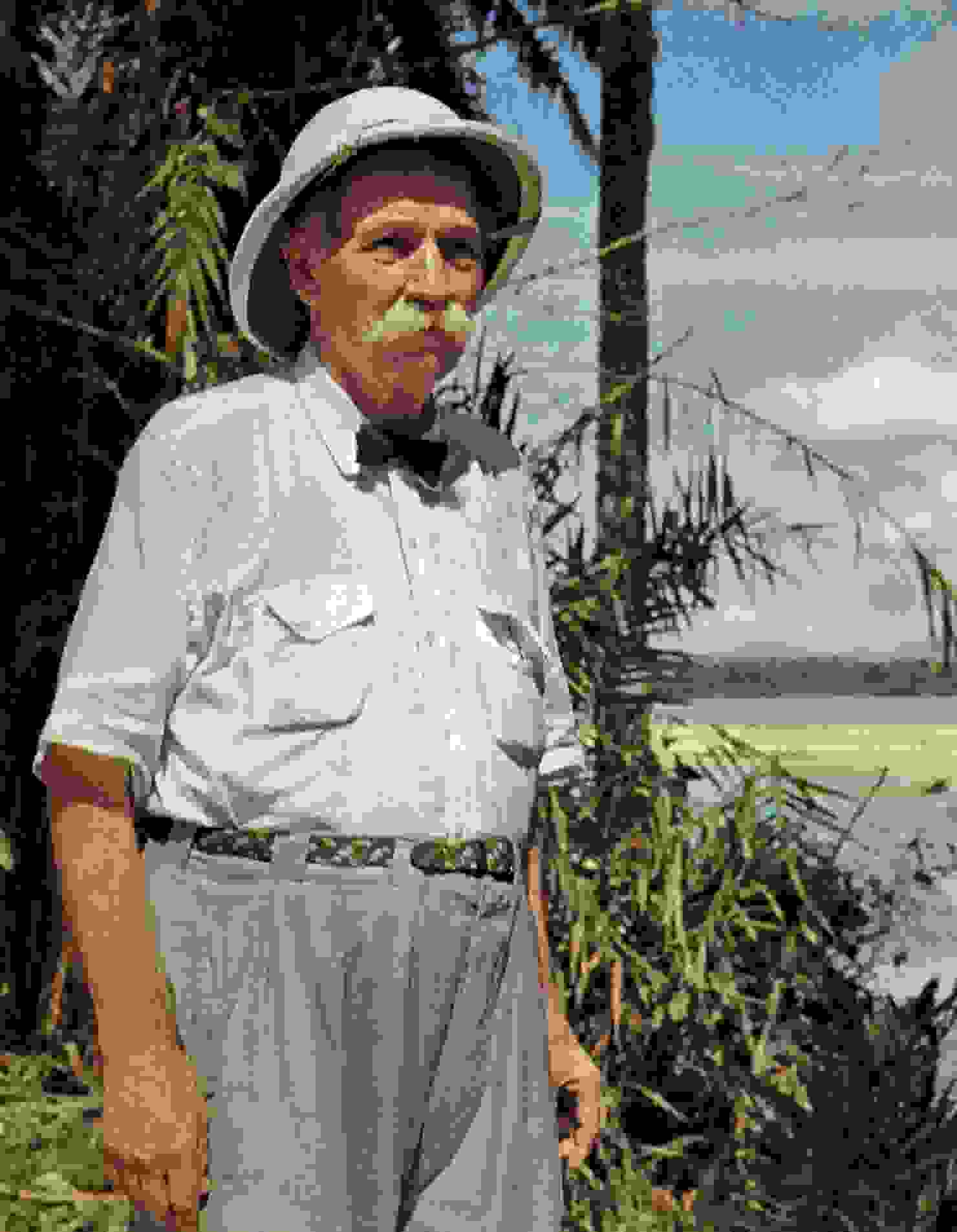 Albert Schweitzer 