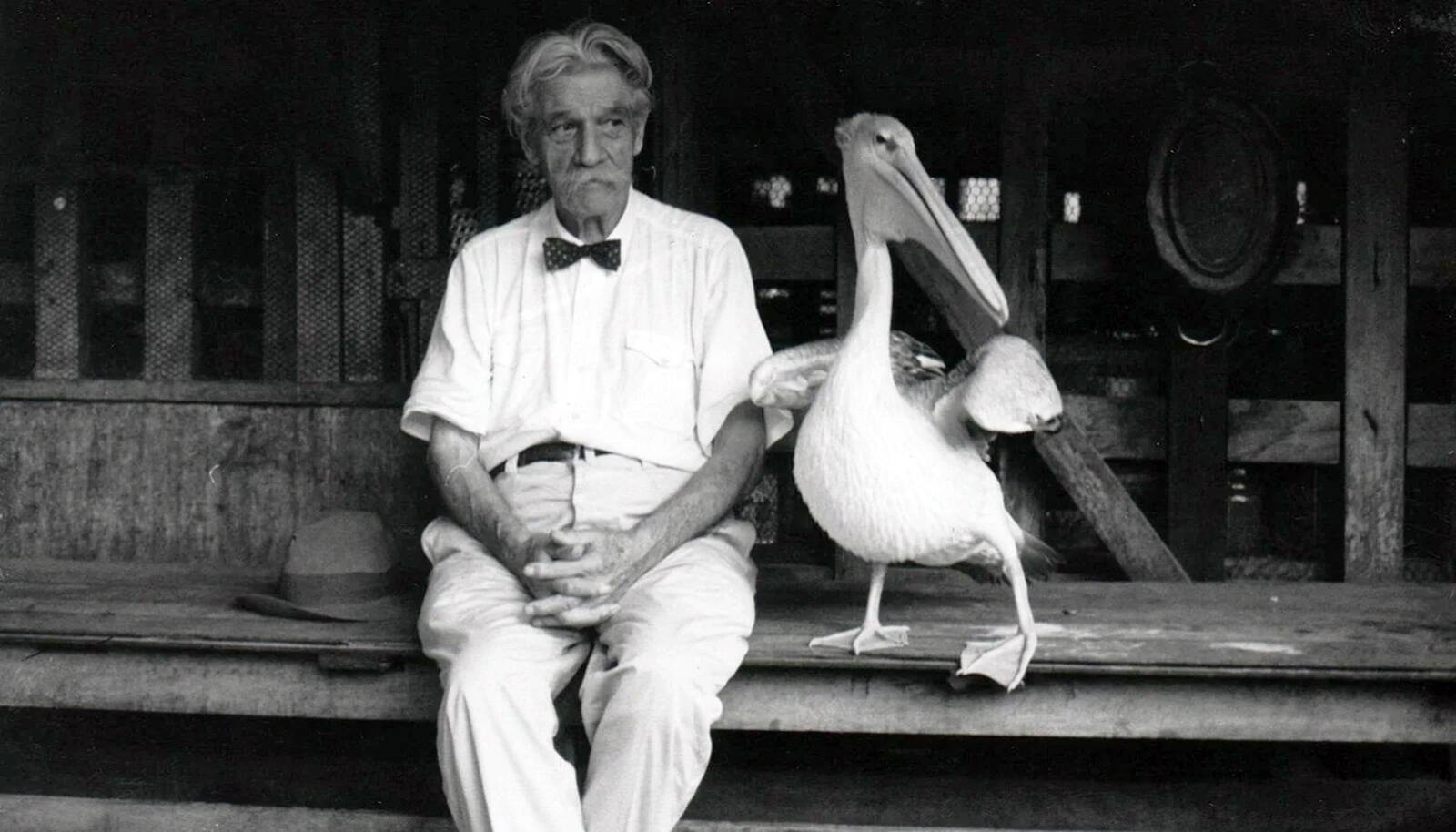 Albert Schweitzer Albert Schweitzer