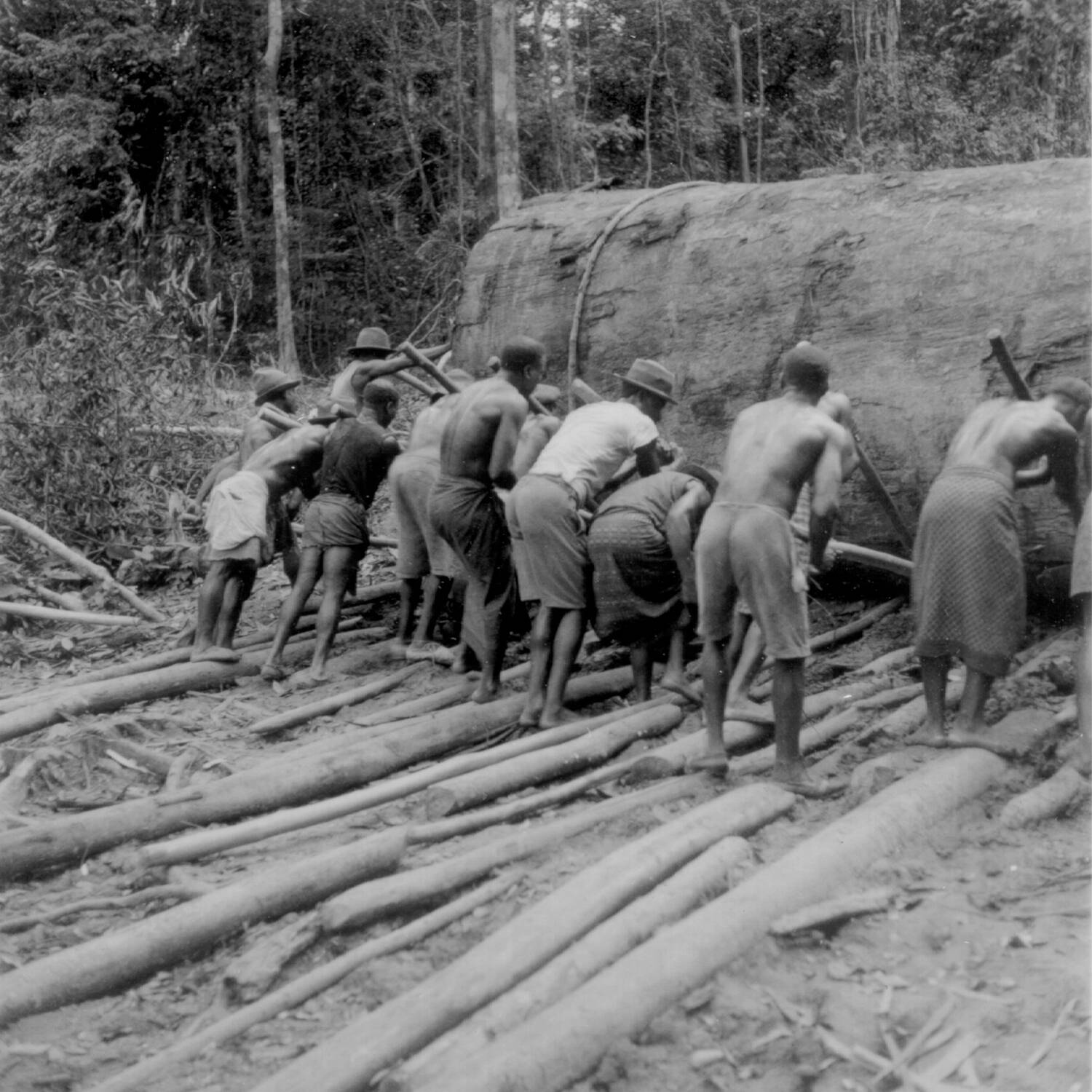 3. Spital Lambarene 1927 –1981 1926 beim Bau des 3. Spitals